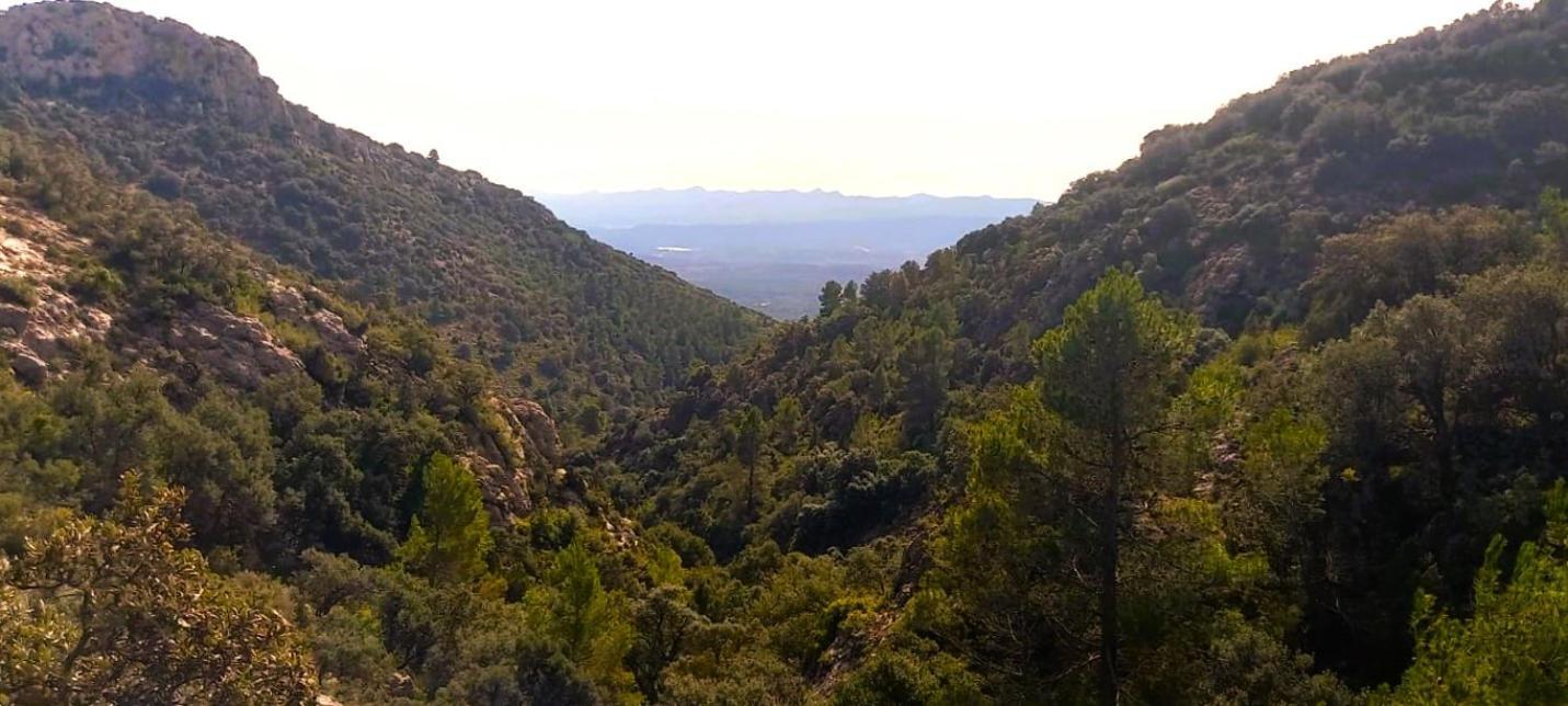 Casa Rural Matilde Caudiel Dış mekan fotoğraf